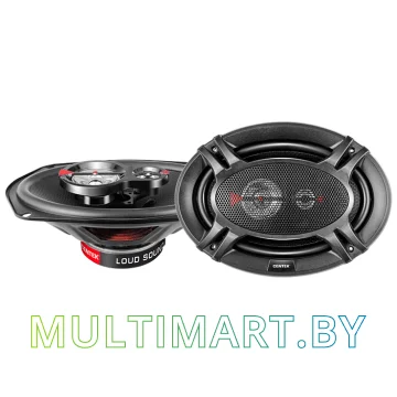 Коаксиальная АС CENTEK CT-8501-69